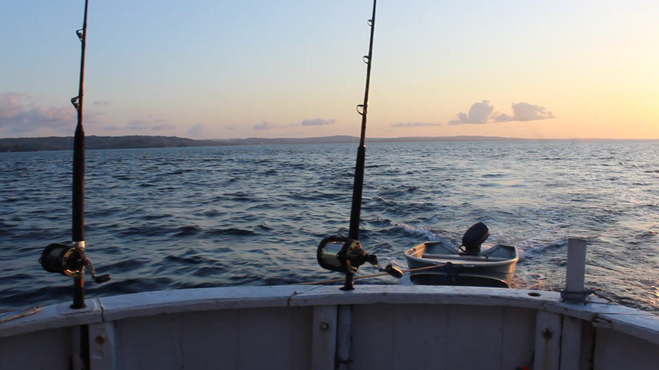 Sunset Trolling